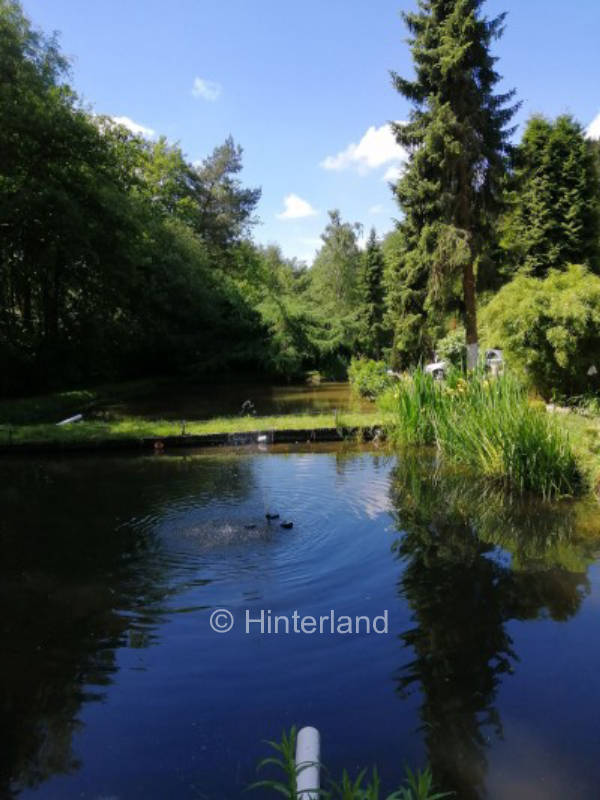 Pitch with fish ponds by the forest