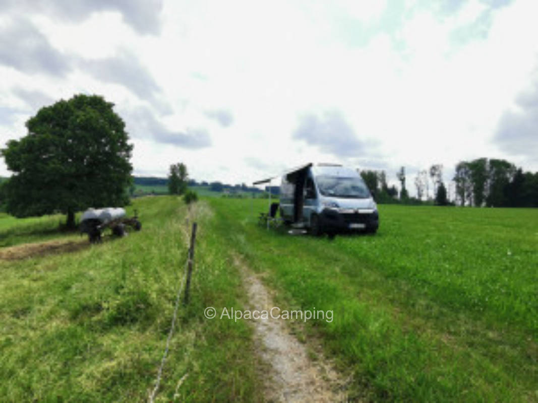 Single parking space at the Schumpenlinde