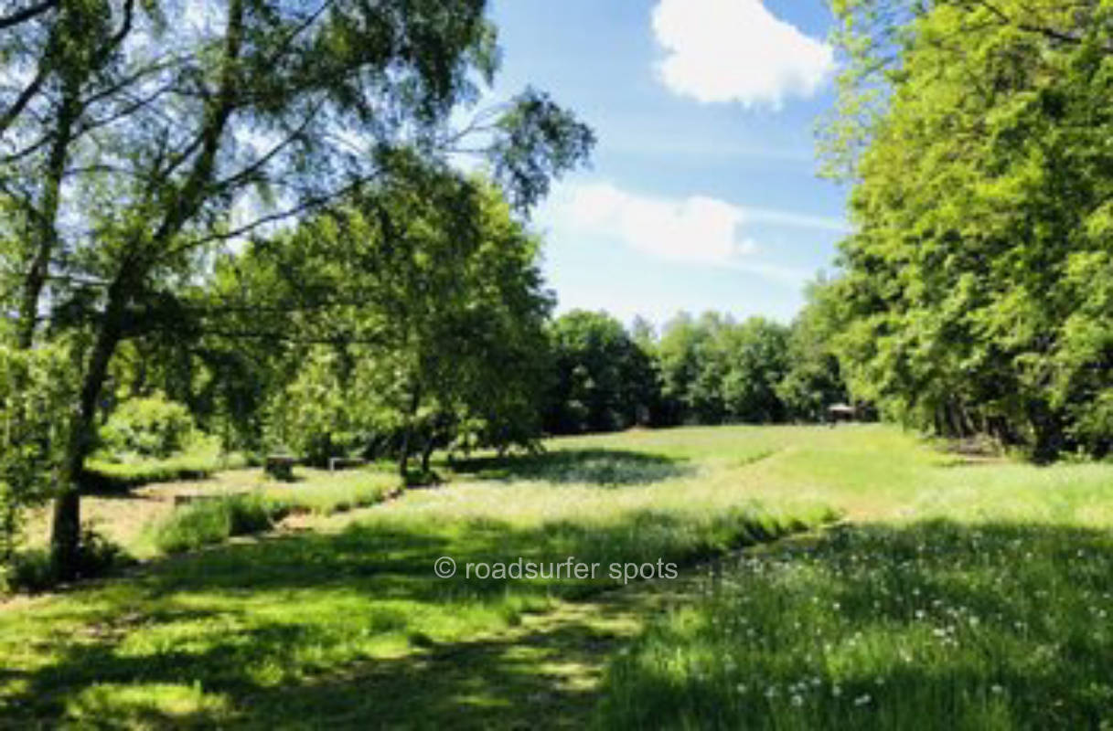 Vanstellplatz: Ruhiger Waldspot am Lagerfeuer