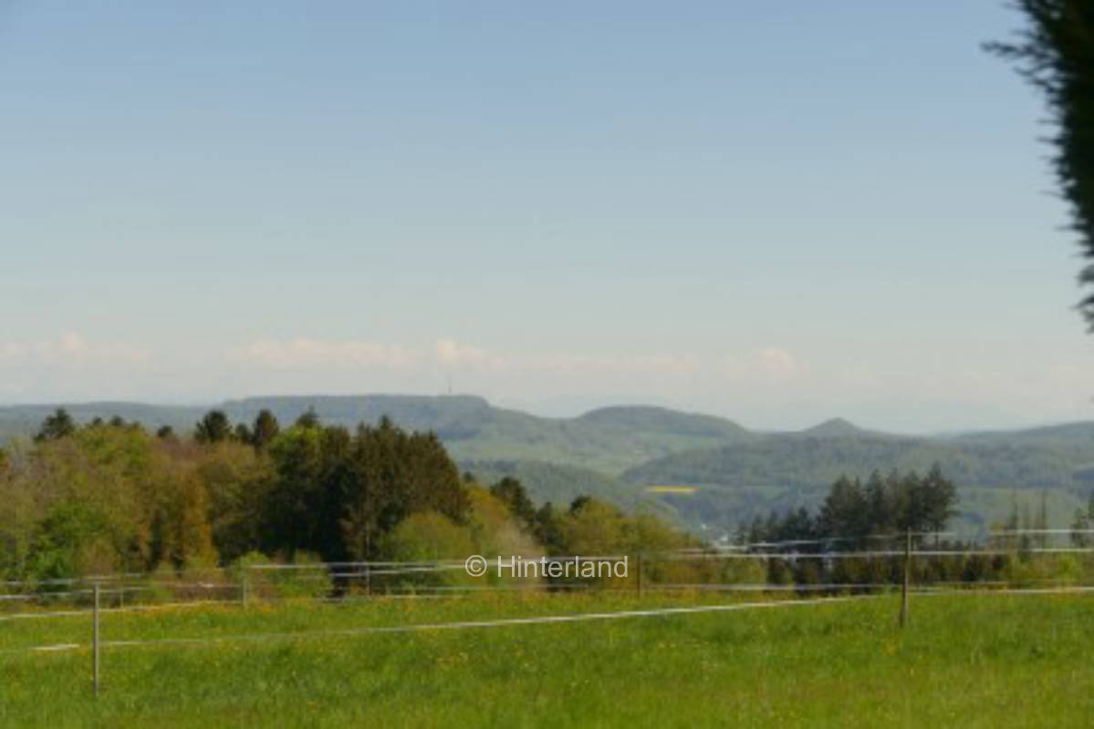 Pitch with alpine panorama
