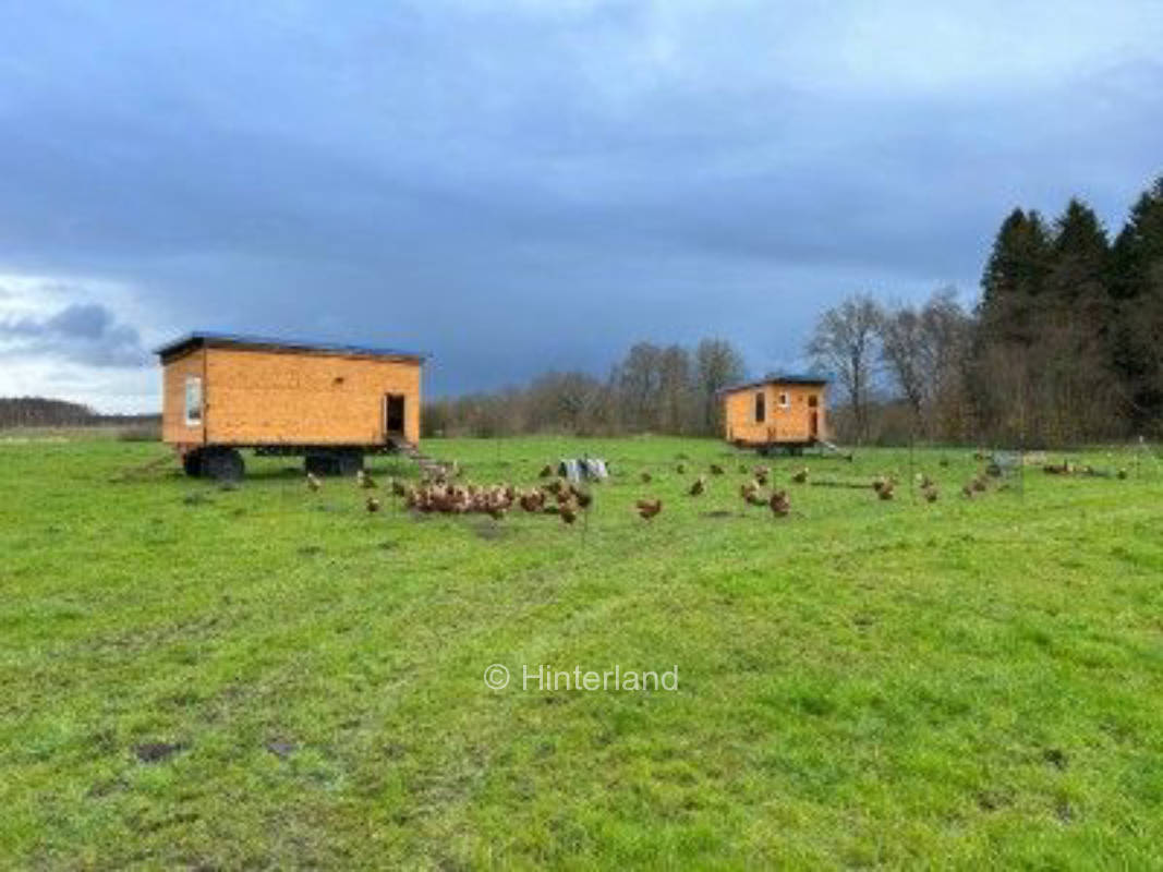Stellplatz an der Hühnerweide im Moorgebiet