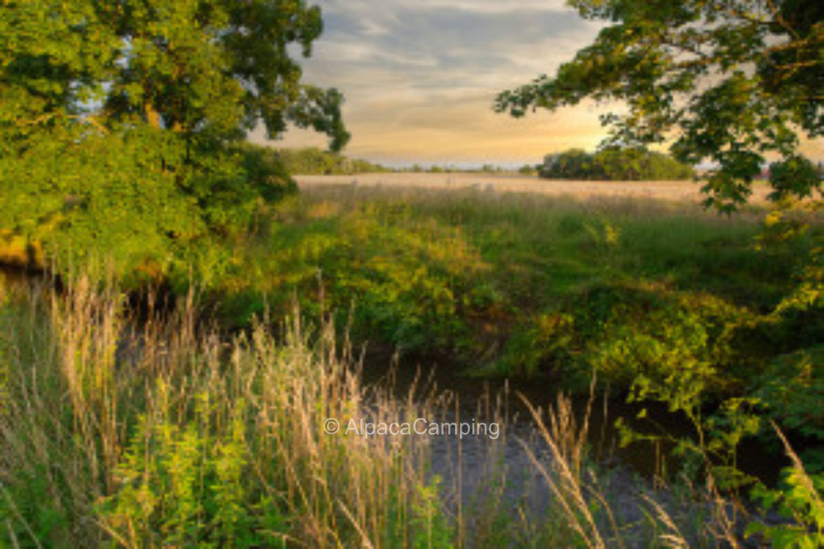 Relaxing by the Wipper, organic meadow orchard