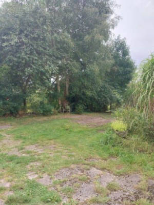 Camping spot at Miscanthus