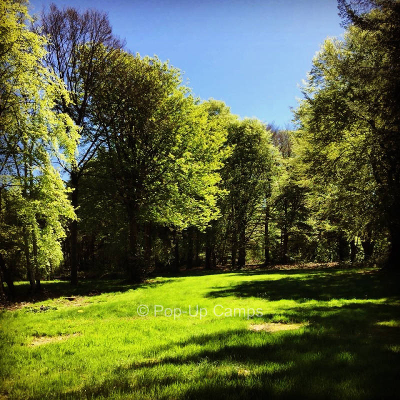 Hainmühlen Art - camping in the forest with lake