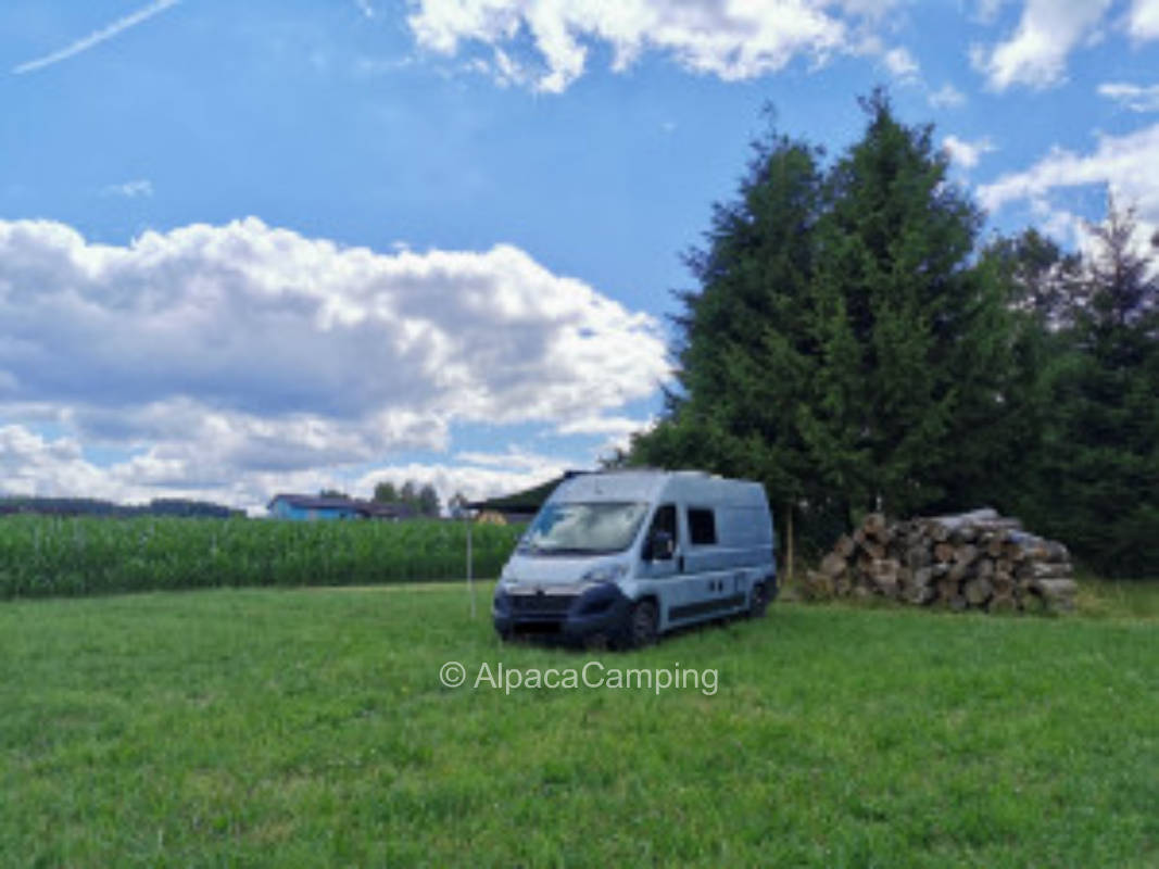 Naab bei Bärnau Wiese im Tal #2