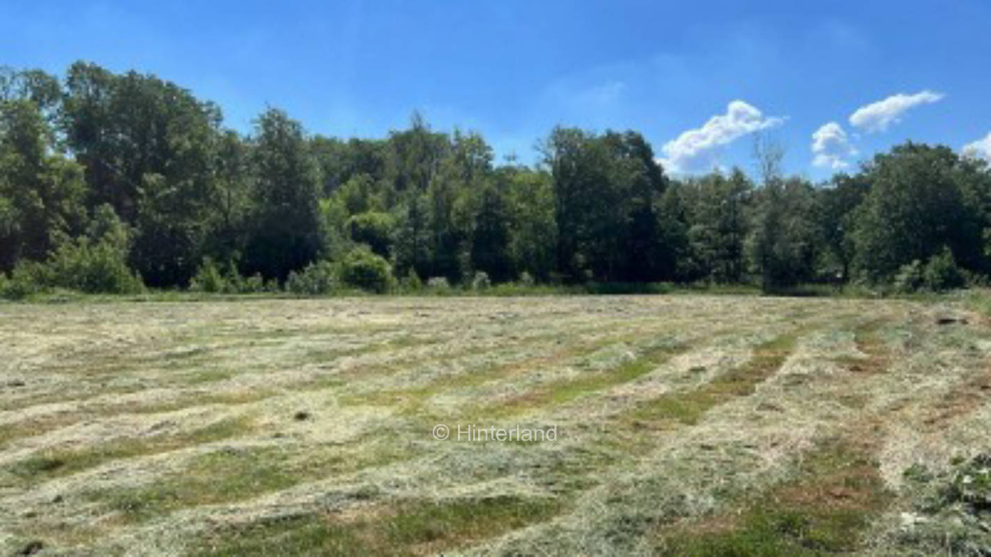 Self-sufficient and solitary overnight stay in North Saxony