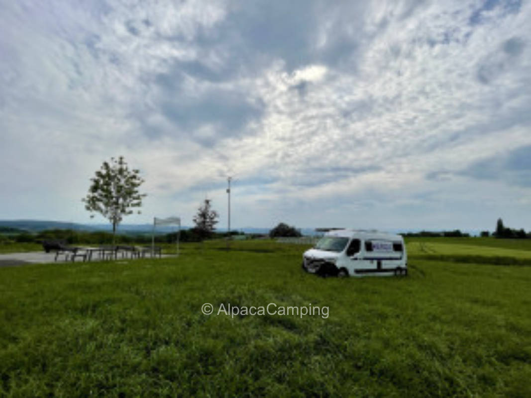 Beautiful meadow with Eifel view #2