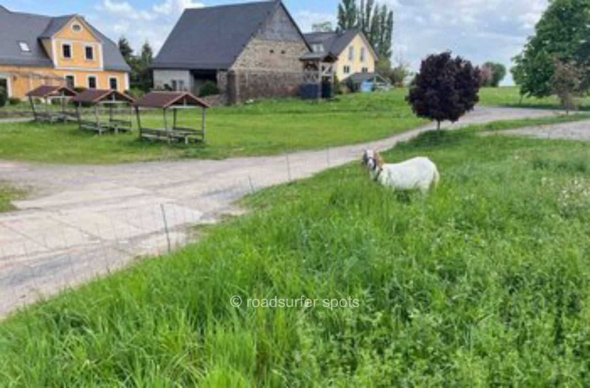 Camping in der Struth