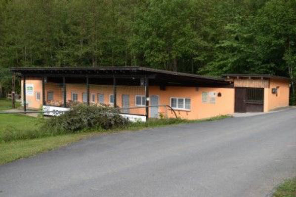 Border Stop Slovenia: Plenty of Space at the Forest Edge