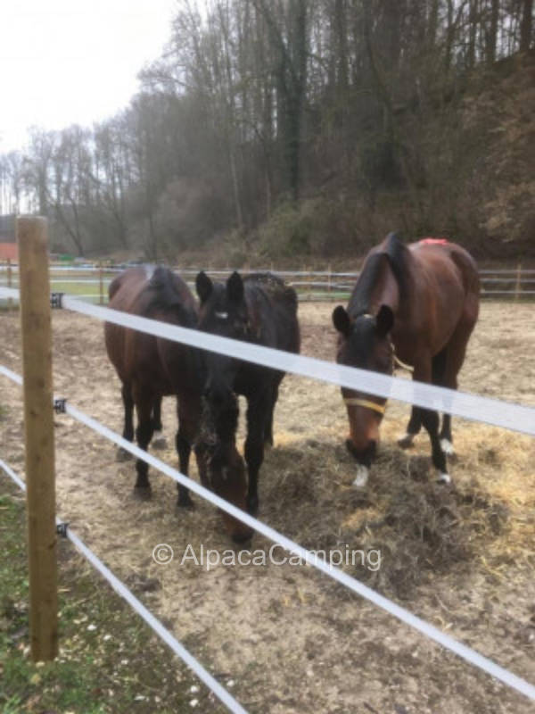Am alten Gutshof #2