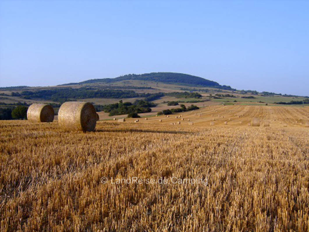 Pitch Heimrich farm with farm store and gastronomy