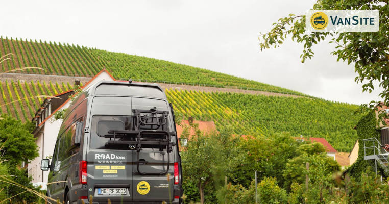 Obstgarten am Weingut Schenk