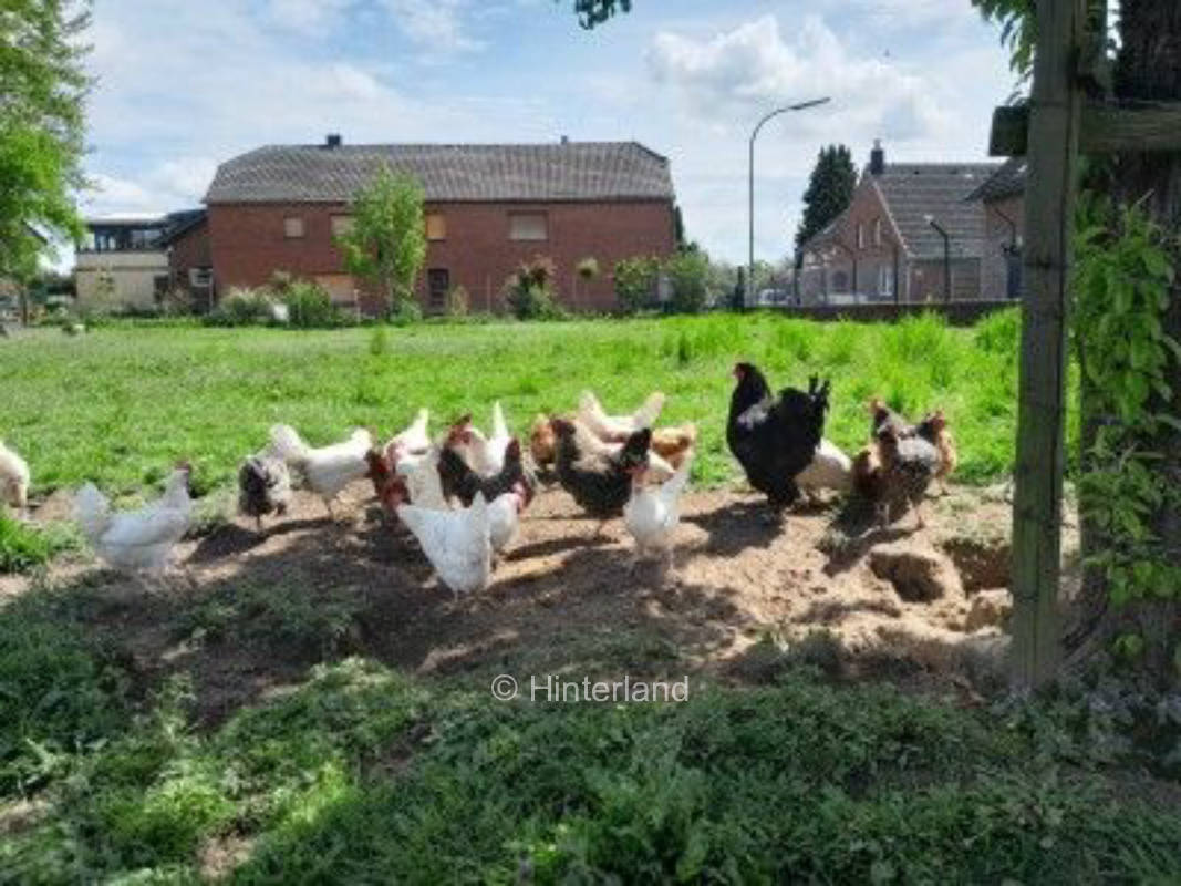 Tierischer Bauernhof im Naturpark Schwalm-Nette