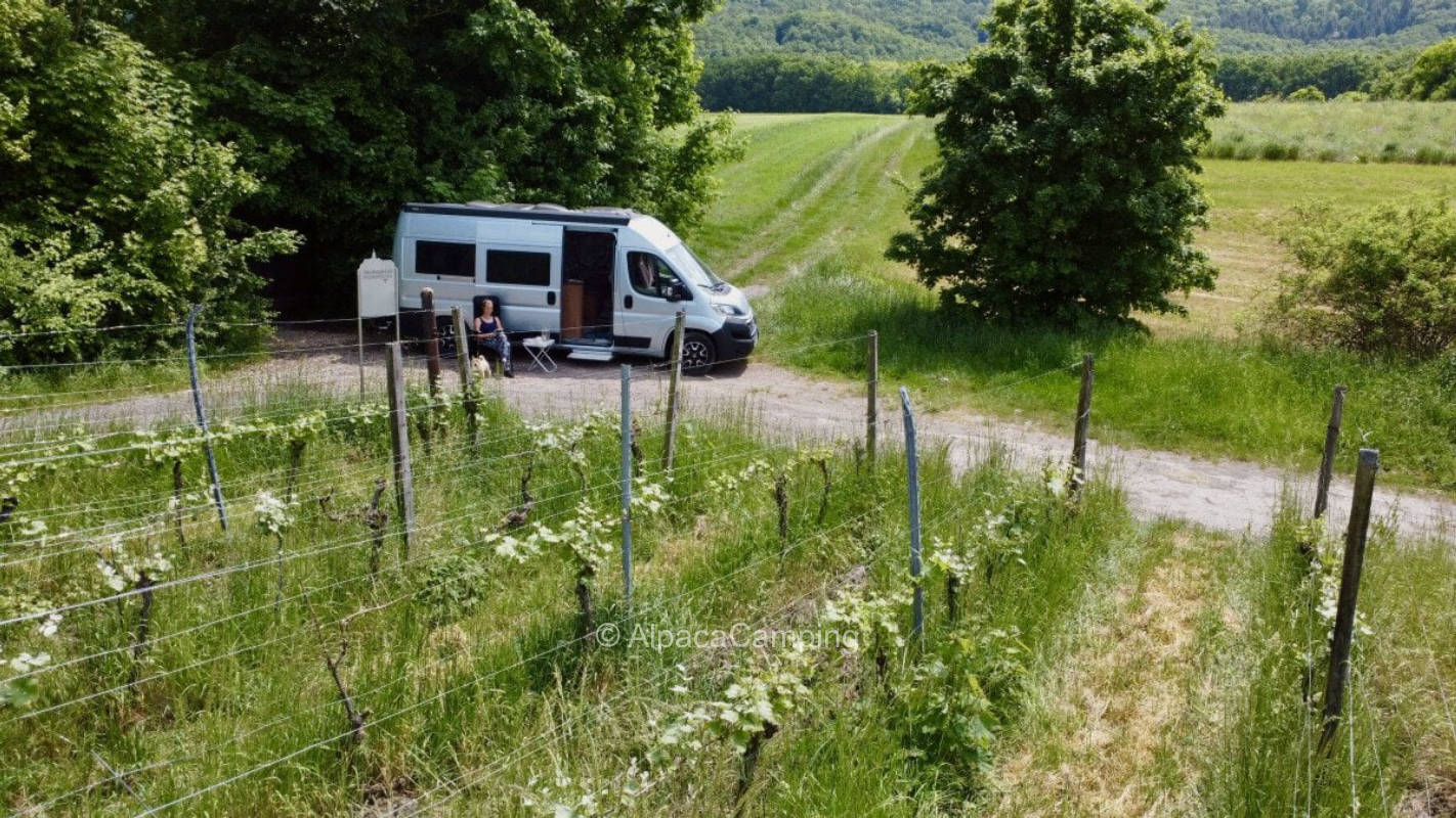 Single parking space in the vineyards in Wiesenbronn