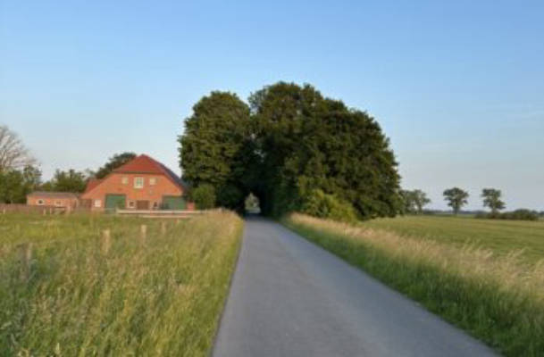 Friesland Camping