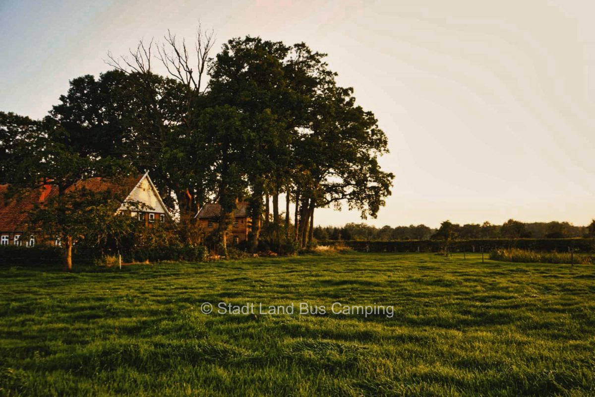 Artländer Gallowayhof – Am Speicher