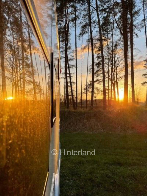 Grüne Wiese im Wald oder idyllischer Hofstellplatz