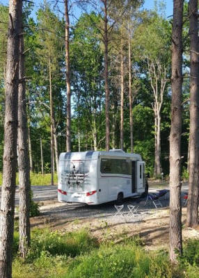 Eco-Camping in the Woods: Forest & Farm Life