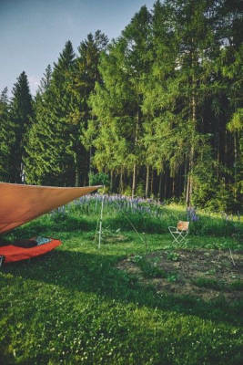 Between Forest and Meadows at the Wolfsbach