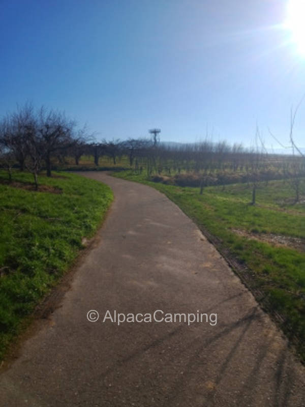 Single parking space " At the lookout tower