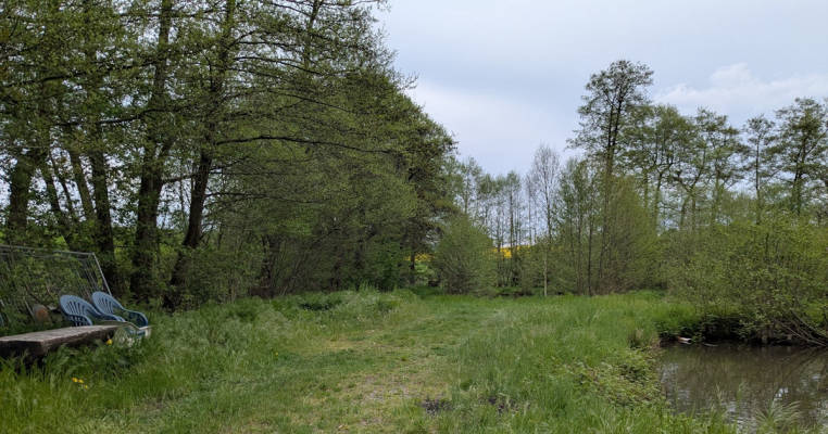 Am Fischteiche Mittershausen(Straße .Am Pfalzbach)