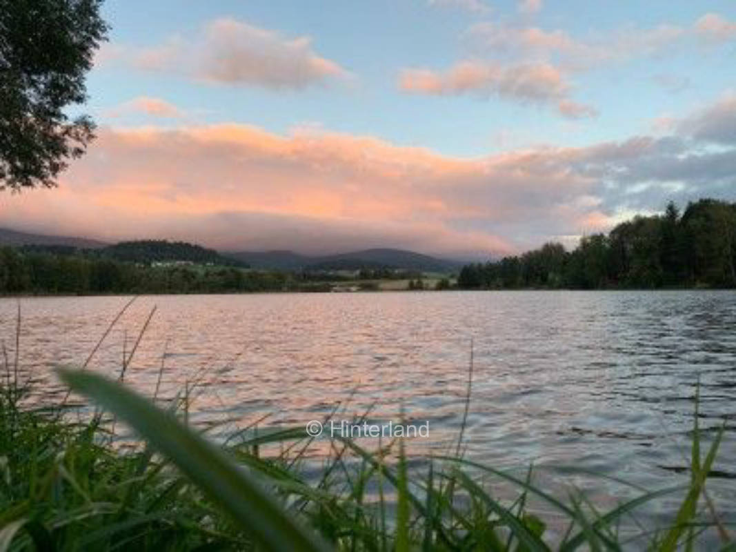 View of the Dreisessel in the Bavarian Forest