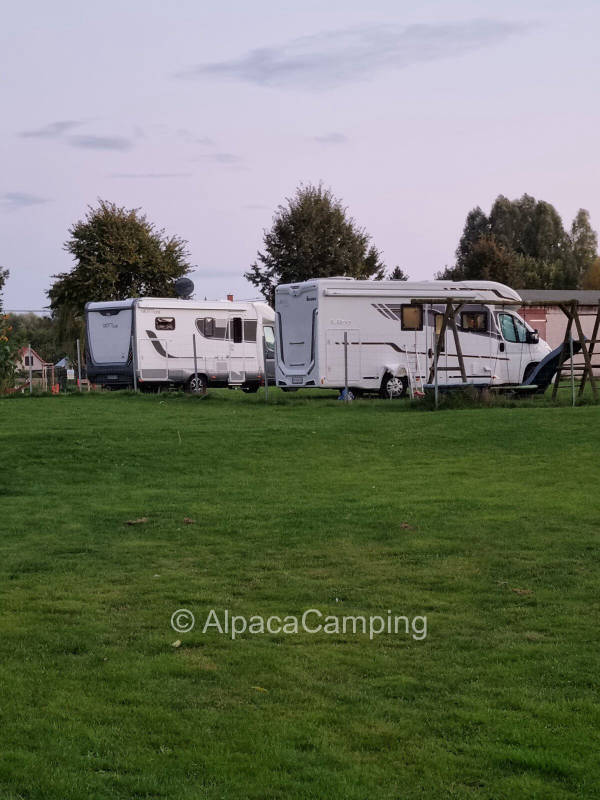 AlpacaCamping 5042
