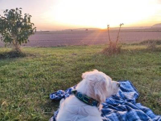 Den Sonnenuntergang genießen im Schwabenland 