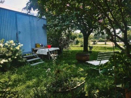 Orchard by the Caravan (Individual Pitch)