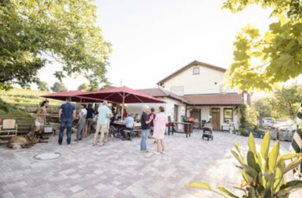 Idyllischer Platz zwischen Weinbergen und Feldern