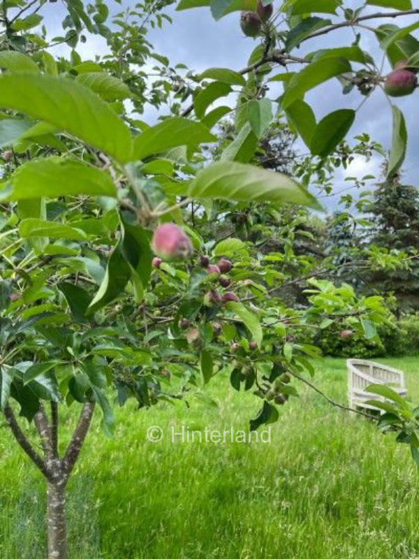 "The little Link Farm" an der Lüneburger Heide
