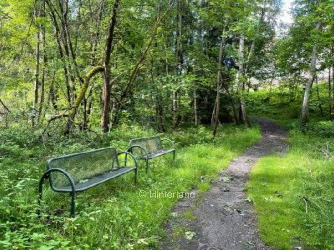 Pitch in Spiegelau directly at the national park