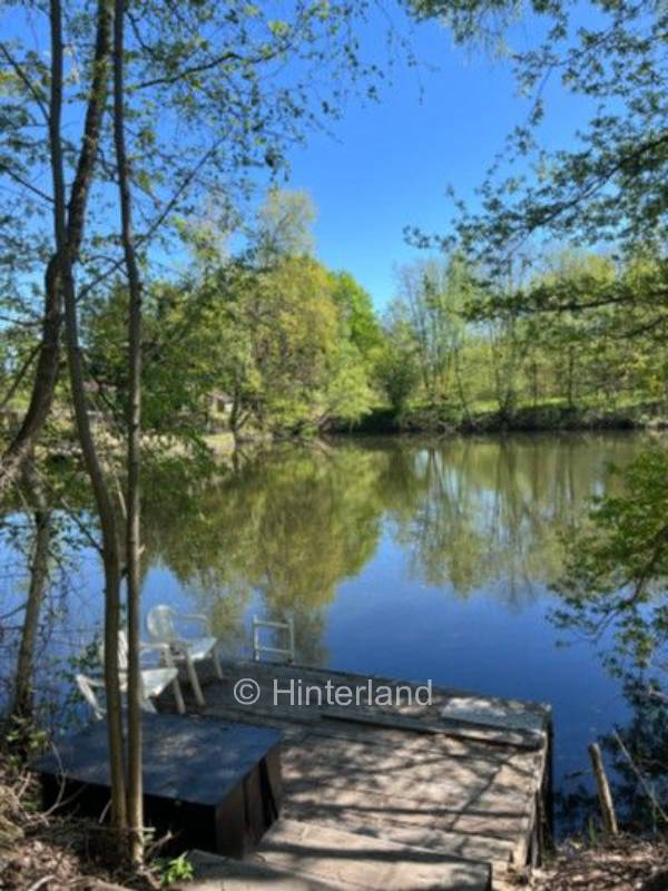 Waldgrundstück mit Steg und Angelteich 