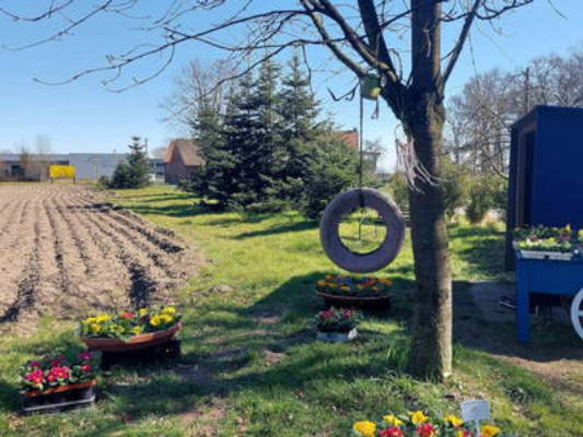 Naturcamping auf unserer Hobby Farm mit Blumenfeld