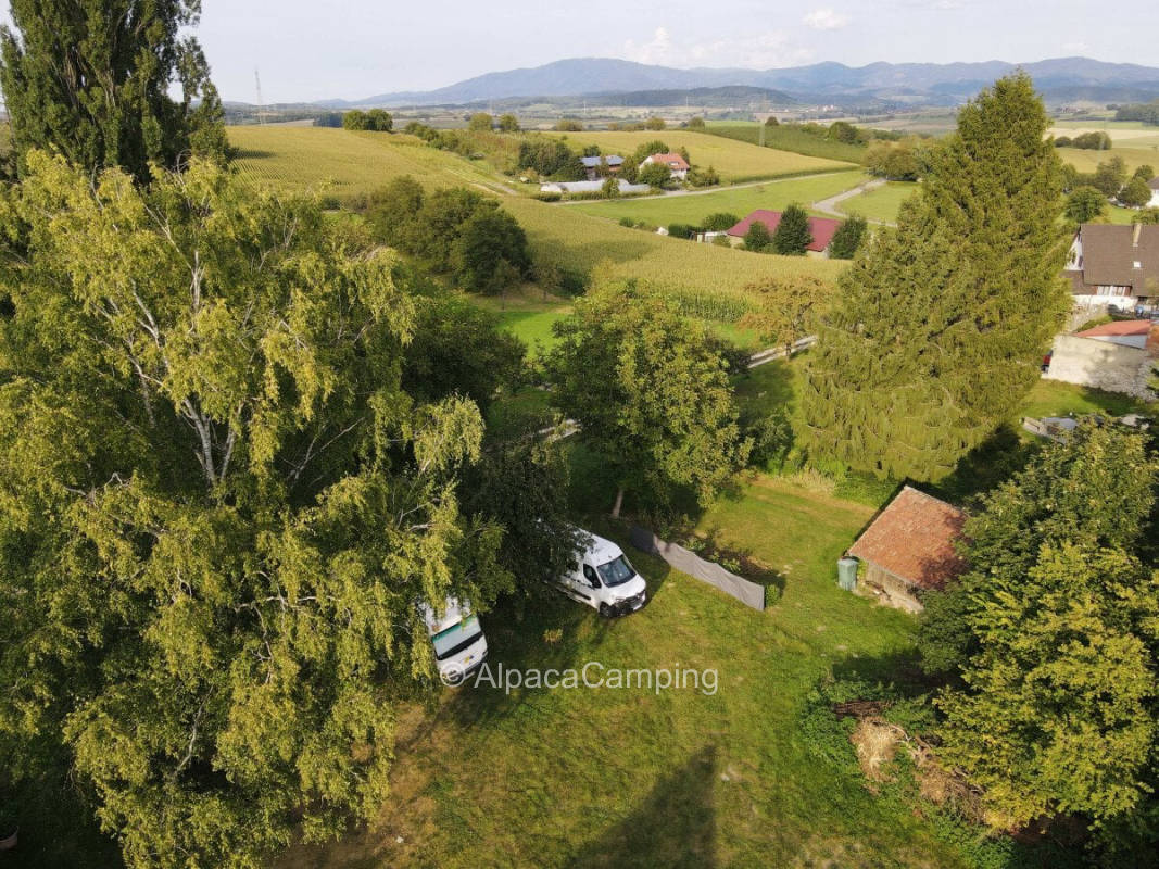 Pitch behind the winery #1