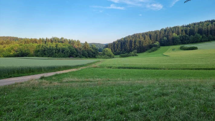 privater Stellplatz (Campspace 9554)