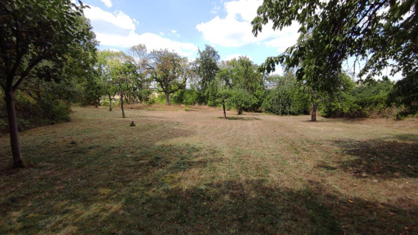 Pure nature with view over Enzweihingen