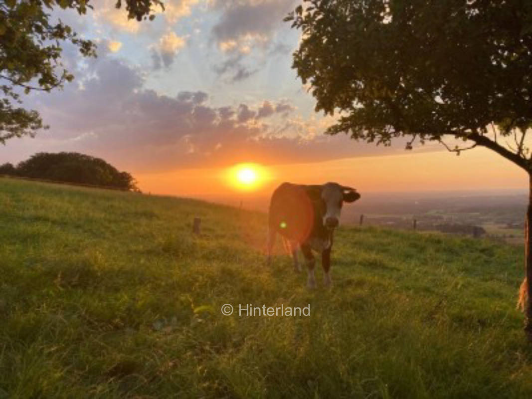 Sundowner place at the farm with great view