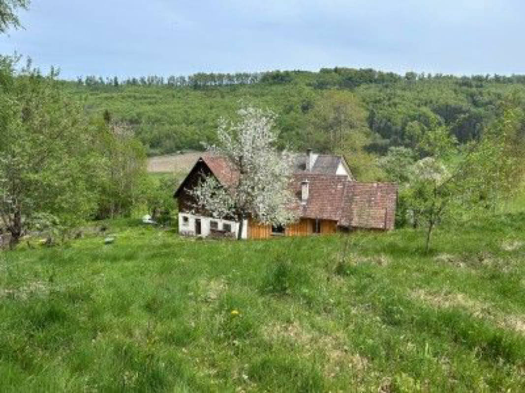 Landliebe Hofgut Heiligenberg Bodenseeregion