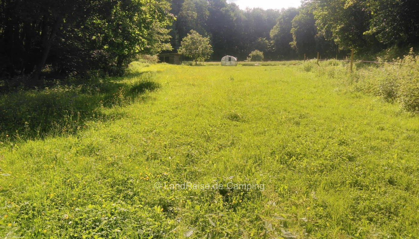 Camping in der Natur am Bach