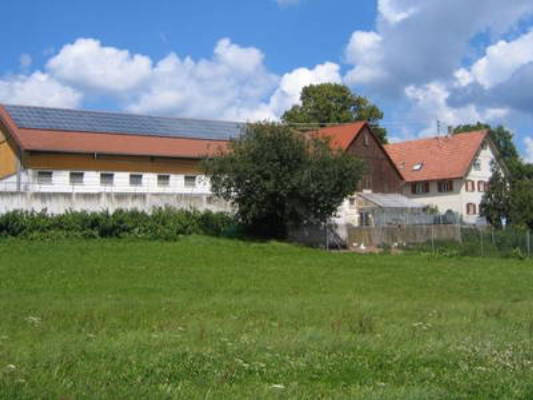 Ferienhof-Roller