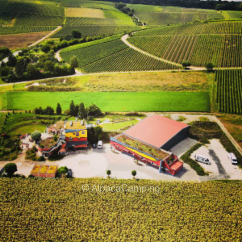 Weingut Hirn & HUNDERTWASSER-Artikel #4