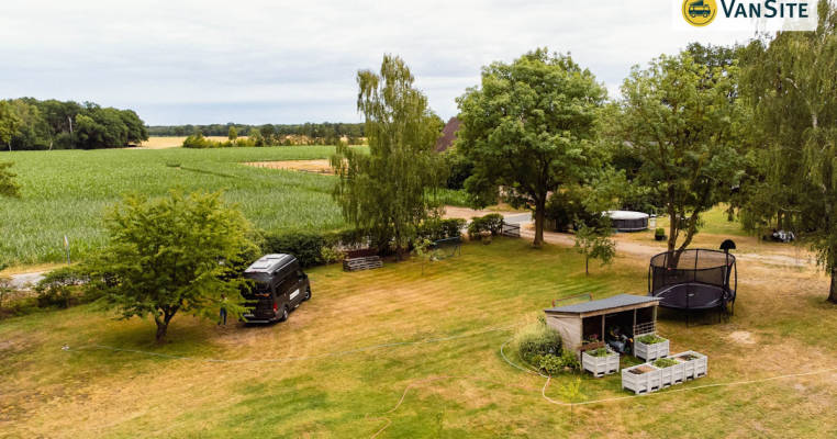 Wiese/Rasen
