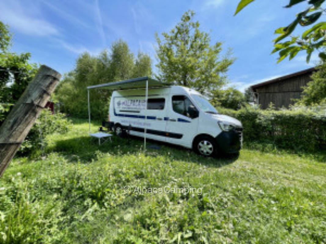 In the middle of the greenery at the orchard
