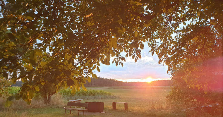 Pitch under the fruit trees