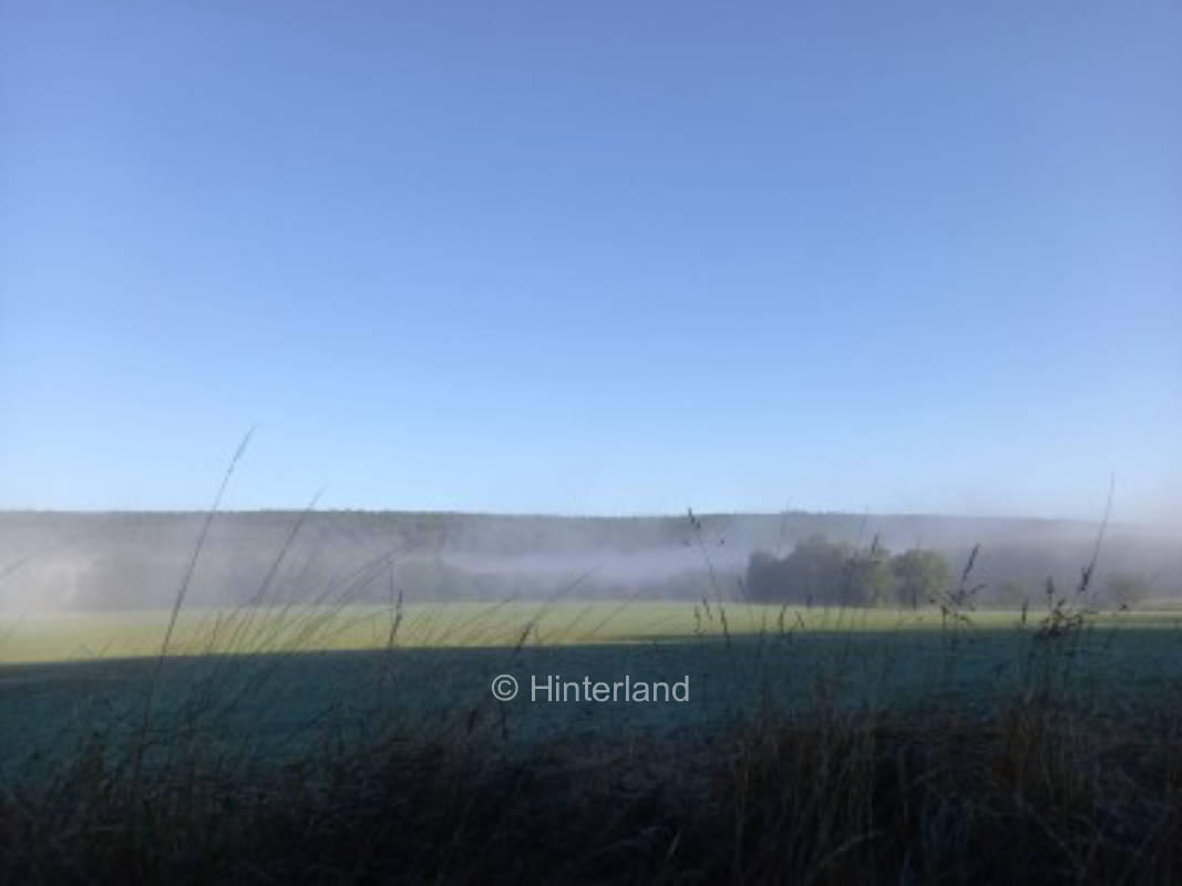 Alone location in the nature with a view of the forest