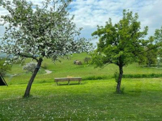Hidden gem in the Fairytale Eifel for young and old