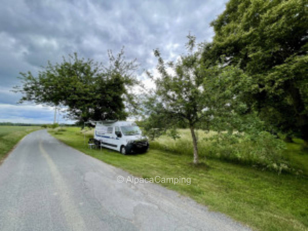 Stellplatz auf dem Hof im Münsterland #3