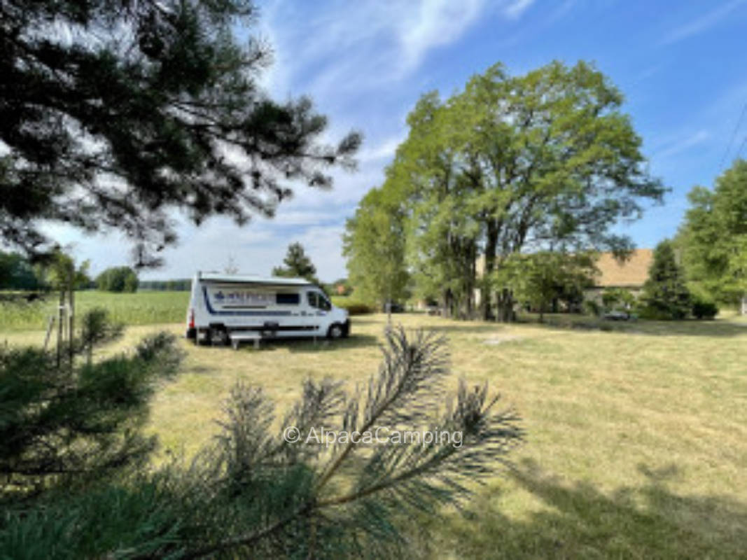 Quiet & exclusive! Special pitch surrounded by forest & field!