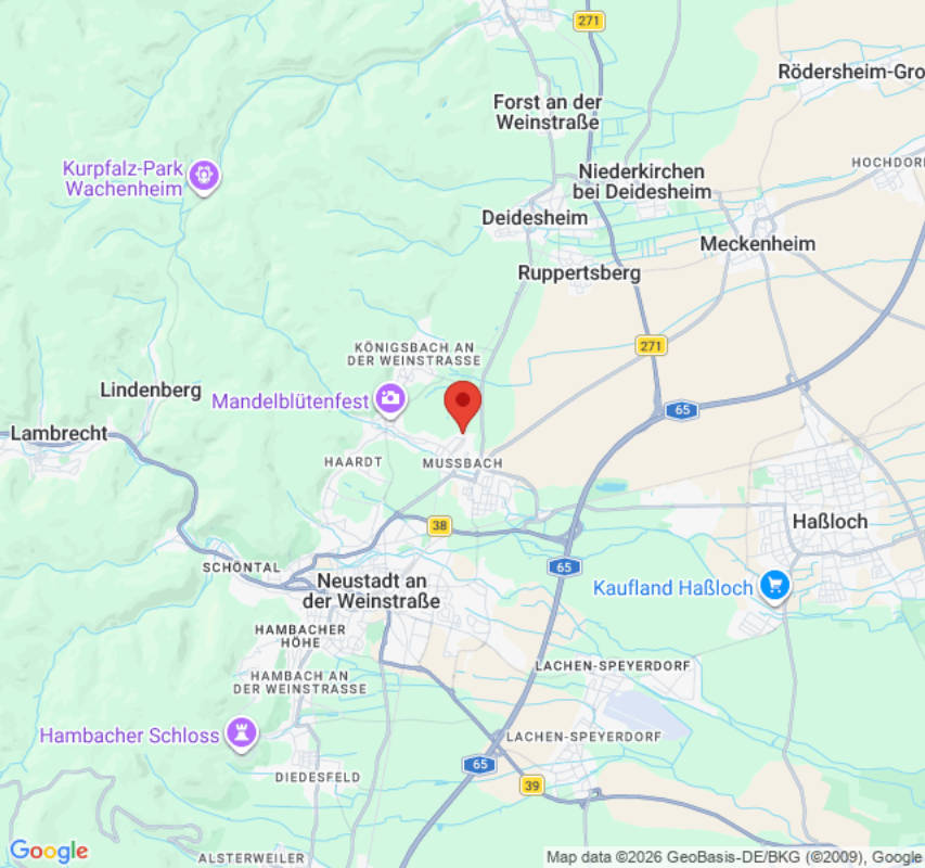WoMo-Stellplatz Rebenhof Kappner
